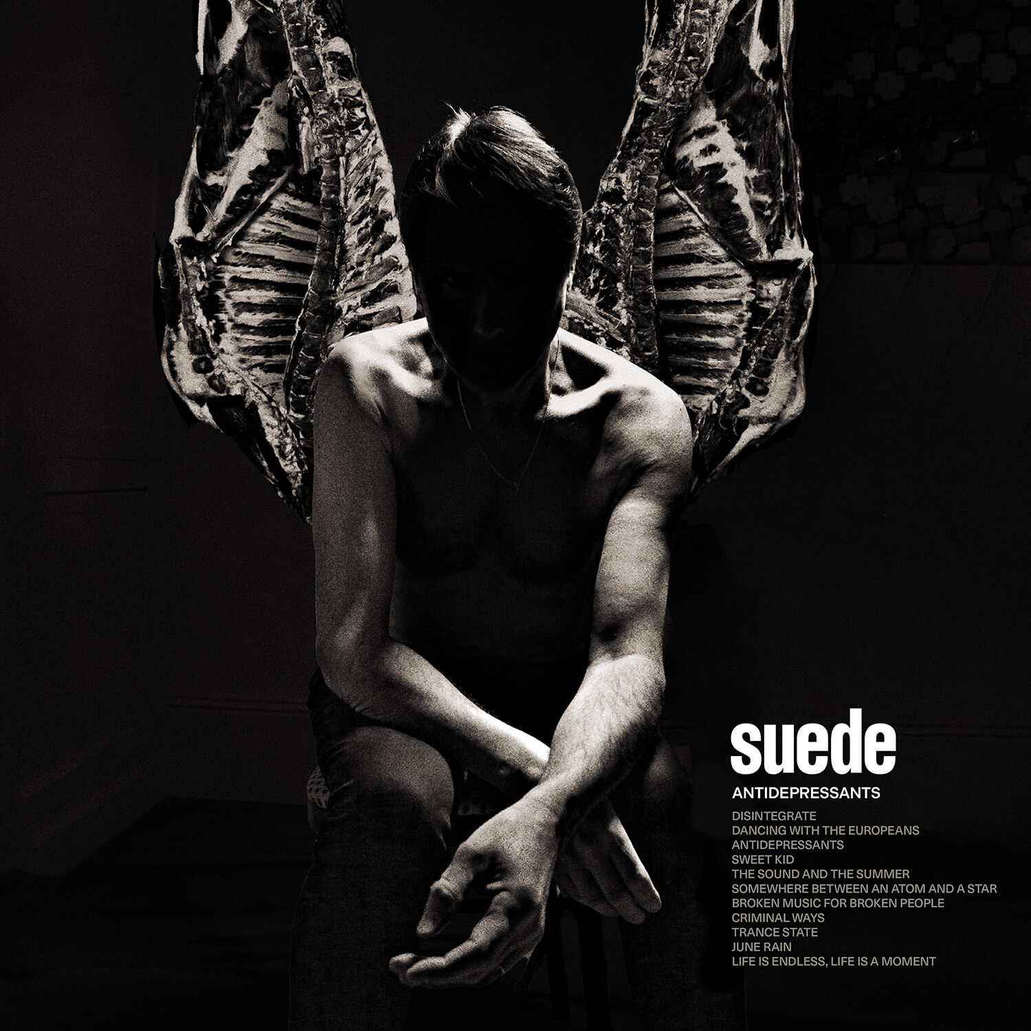 suede antidepressants 2025