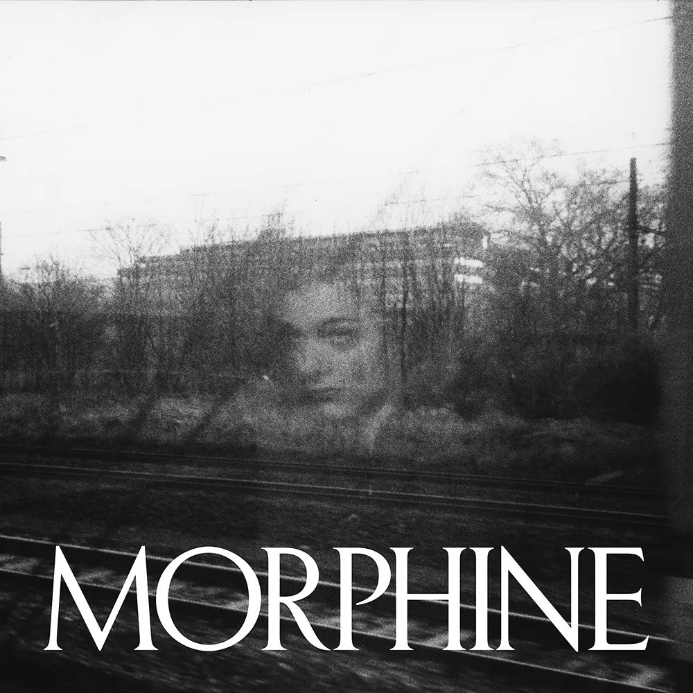 morphine cocoon 2026